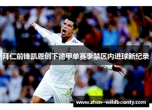 拜仁前锋凯恩创下德甲单赛季禁区内进球新纪录