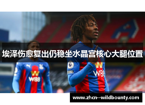 埃泽伤愈复出仍稳坐水晶宫核心大腿位置 埃泽伤愈复出仍稳坐水晶宫核心大腿位置