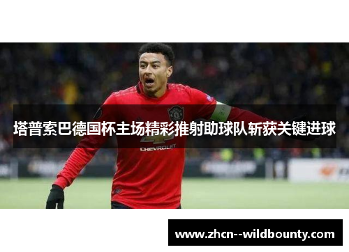 塔普索巴德国杯主场精彩推射助球队斩获关键进球